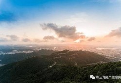 揭阳人民热线爆料案件最新,案件追踪，真相大白！