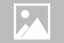 固始新闻爆料网最新信息,最新动态盘点，揭秘本地热点事件！